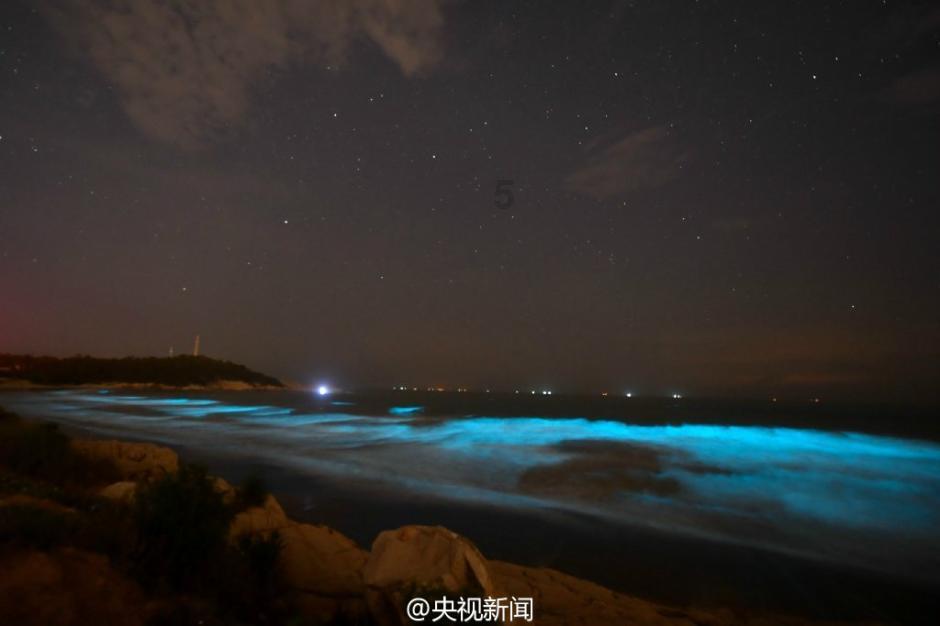 浪漫衣裙