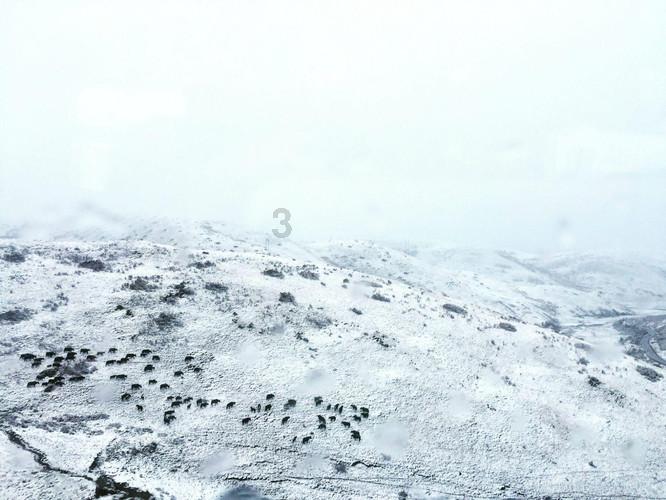 河南省新郑市发布暴雪蓝色预警