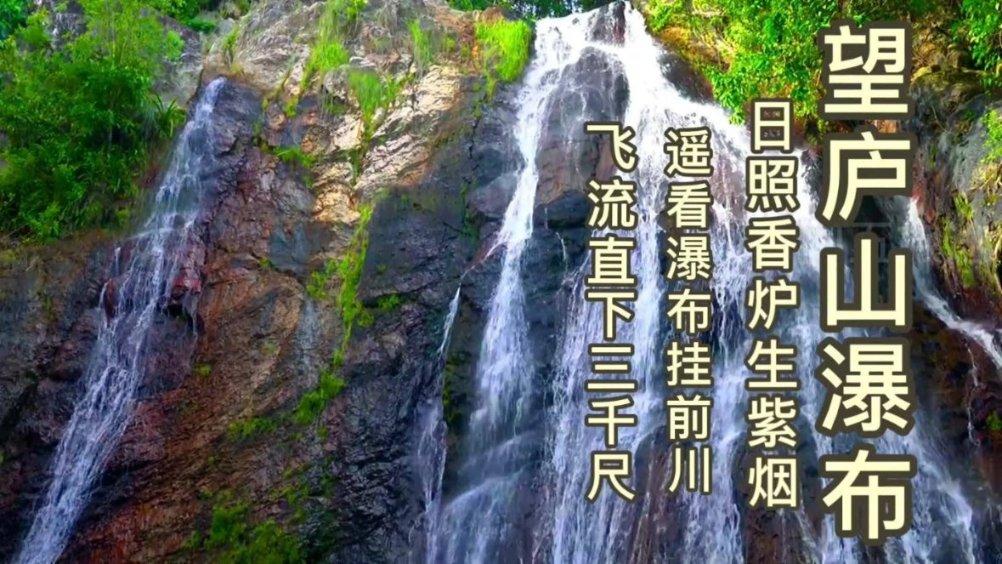 逗小猴开心系列213